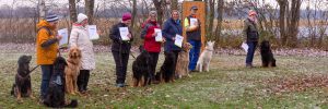 Read more about the article 22.11.2025 – Herbstprüfung auf unserem Hundeplatz