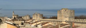 Read more about the article Aigues Mortes / Cabanes